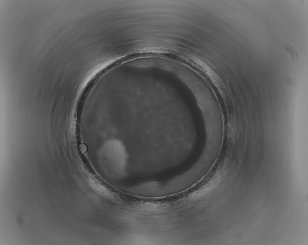 X0000113880779200910081746