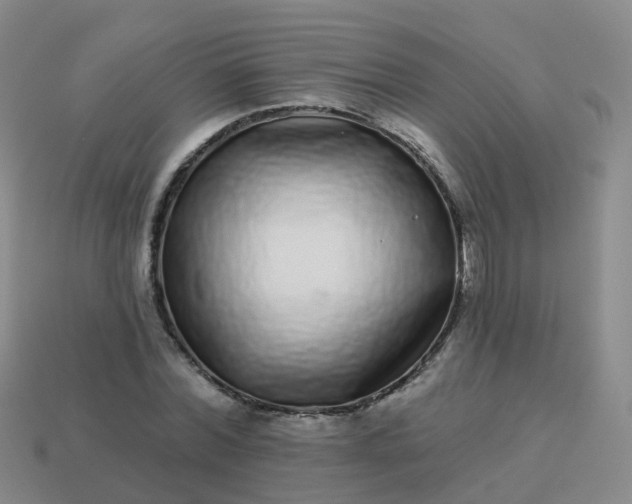 X0000113880780200910081746