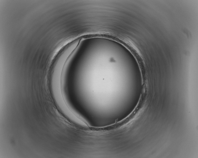 X0000113880781200910081746