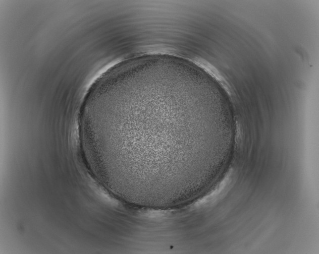 X0000113880782200910081746