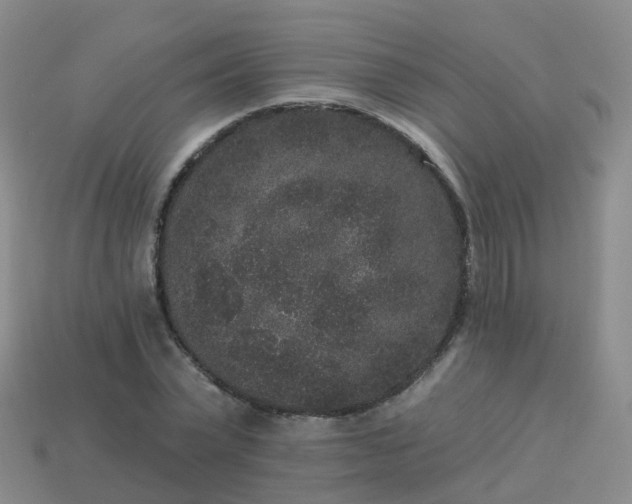 X0000113880783200910081745