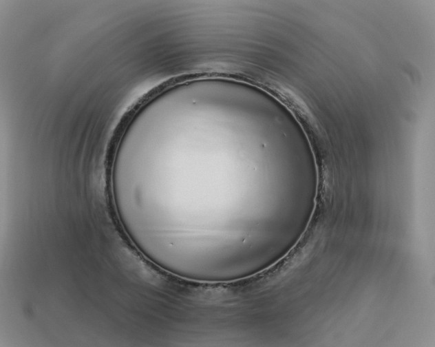 X0000113880784200910081745