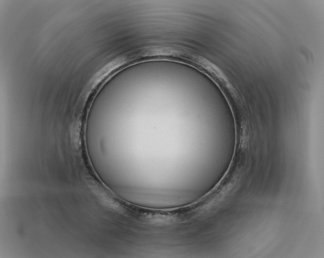 X0000113880786200910081745