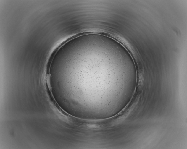 X0000113880787200910081745