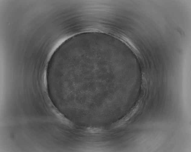 X0000113880788200910081745