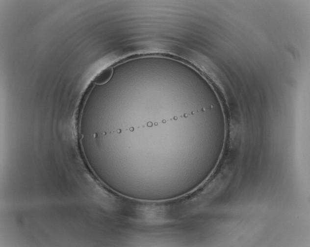 X0000113880789200910081745