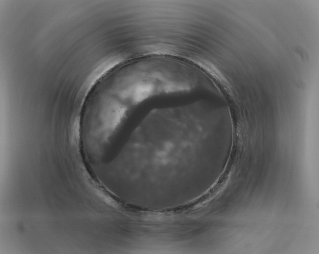 X0000113880790200910081745