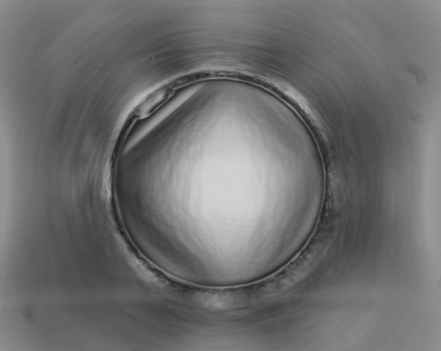 X0000113880791200910081745