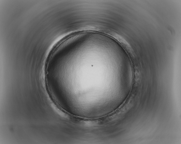 X0000113880792200910081745