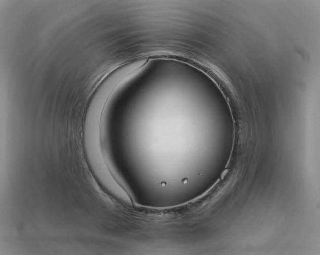 X0000113880793200910081745