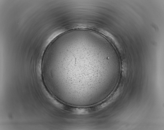 X0000113880794200910081745