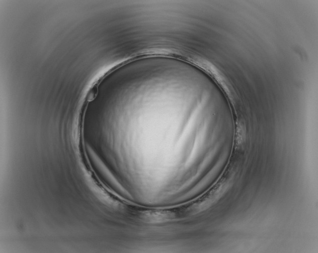 X0000113880795200910081745