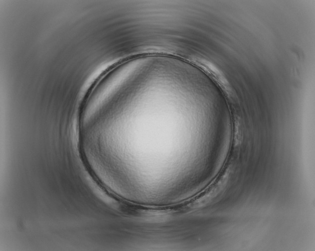 X0000113880796200910081745