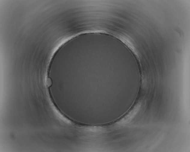 X0000113880797200910081745