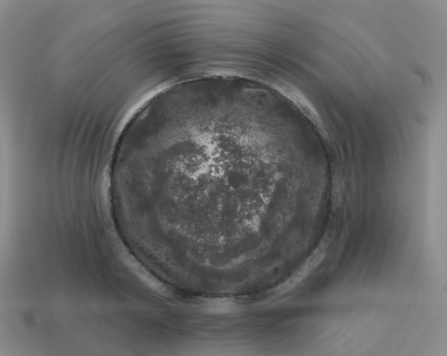 X0000113880798200910081745