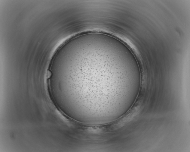 X0000113880799200910081745