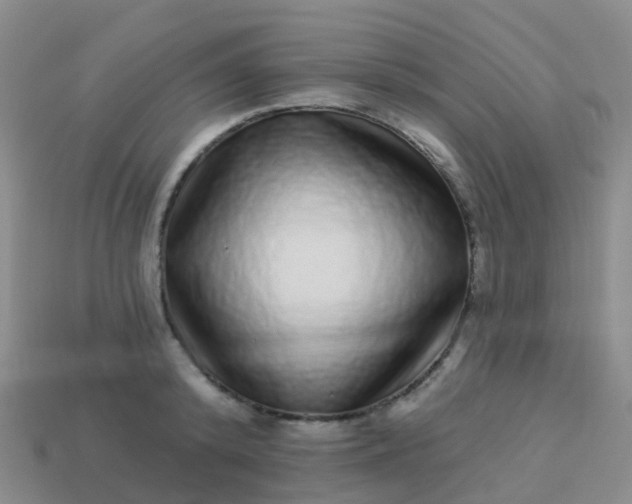 X0000113880800200910081745