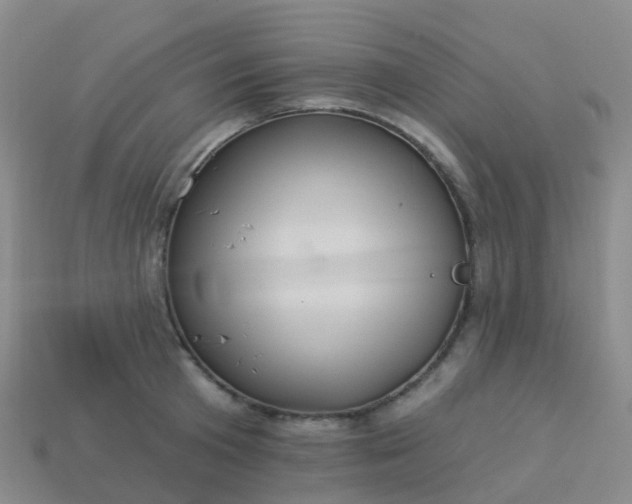 X0000113880801200910081745