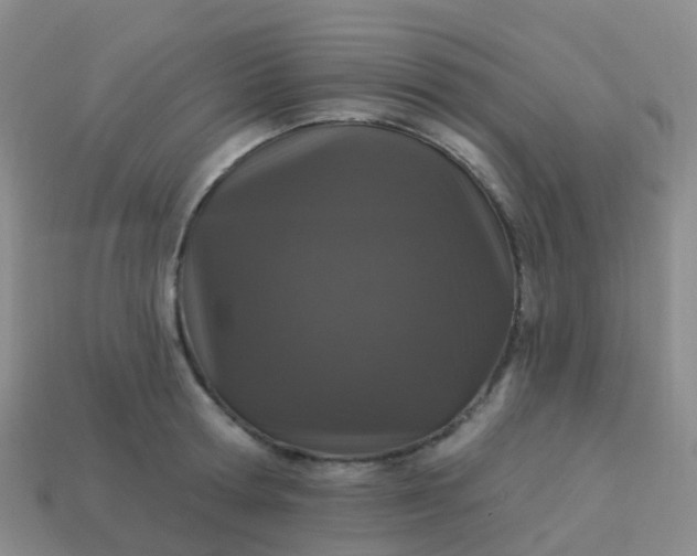 X0000113880802200910081745