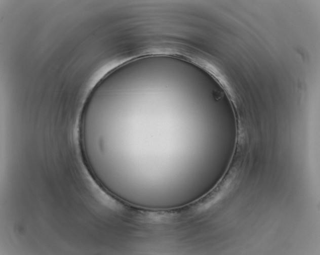 X0000113880803200910081745