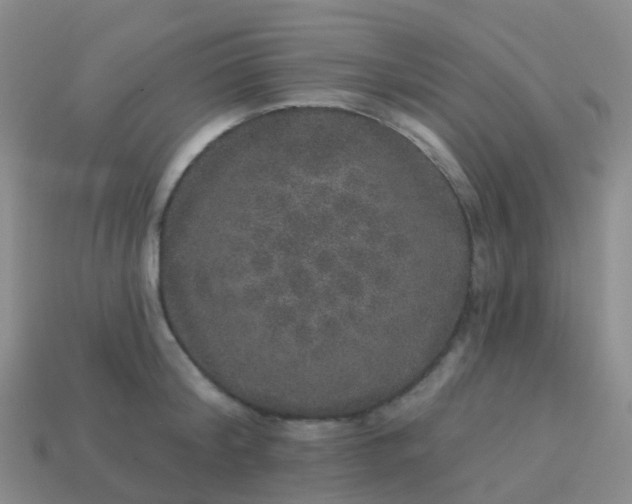 X0000113880804200910081745