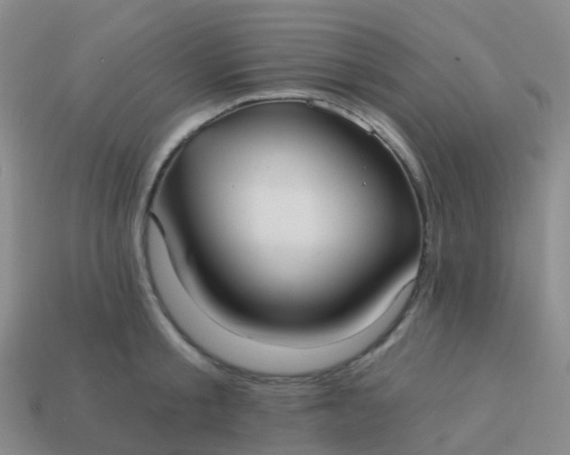 X0000113880805200910081745