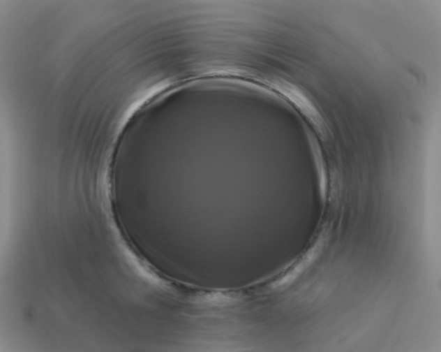 X0000113880806200910081745