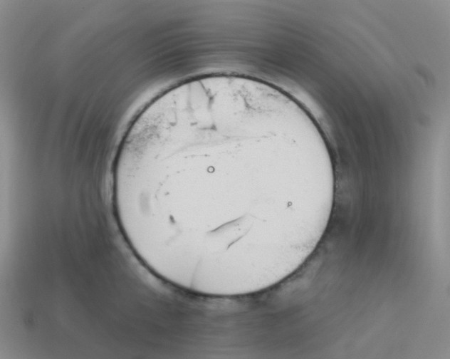 X0000113880807200910081745