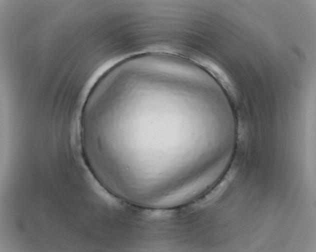 X0000113880808200910081745