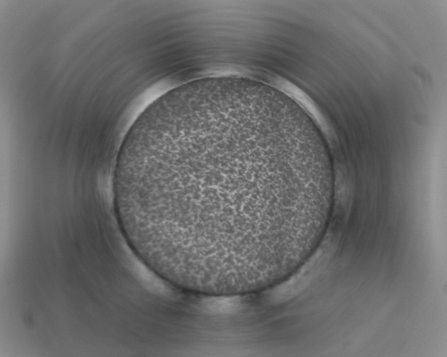 X0000113880810200910081745