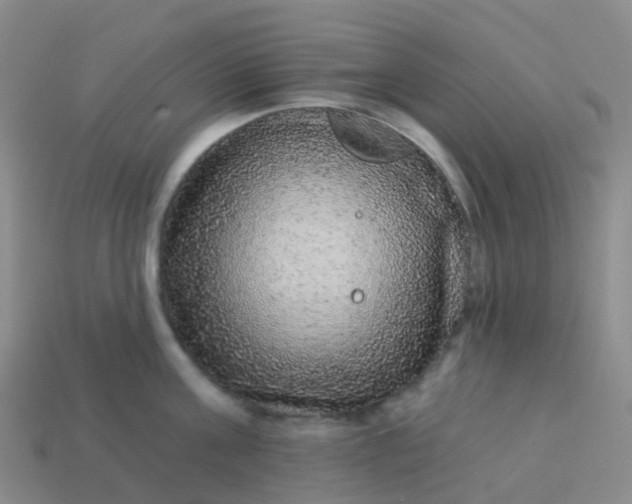 X0000113880811200910081745