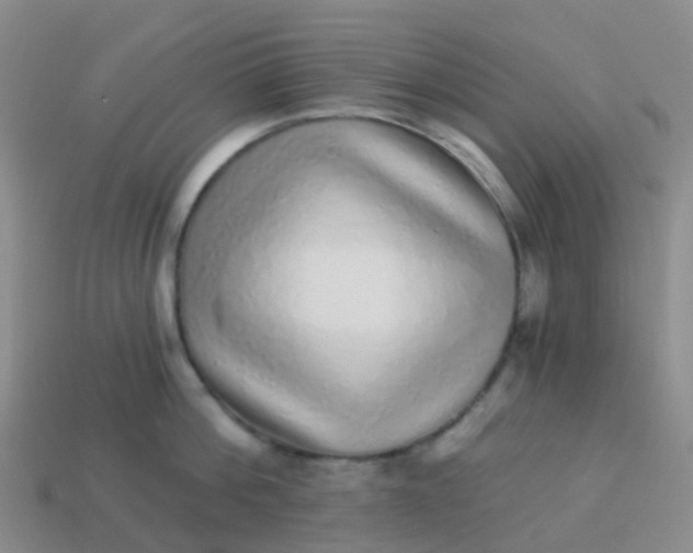 X0000113880812200910081745