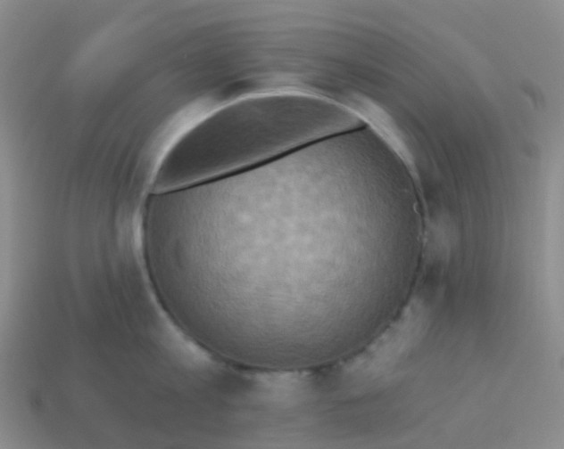 X0000113880813200910081745