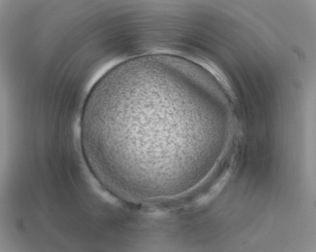 X0000113880814200910081745