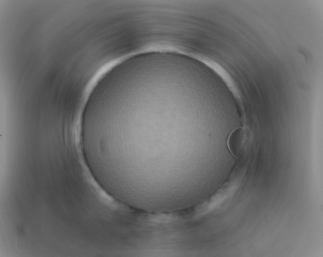 X0000113880815200910081745