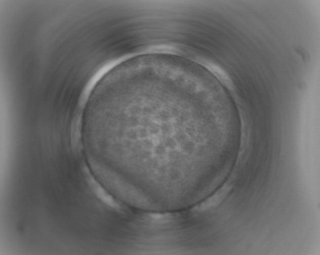 X0000113880816200910081745