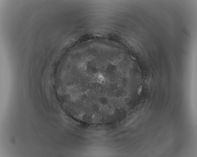 X0000113880817200910081744