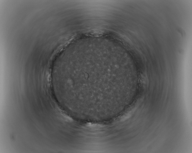 X0000113880818200910081744