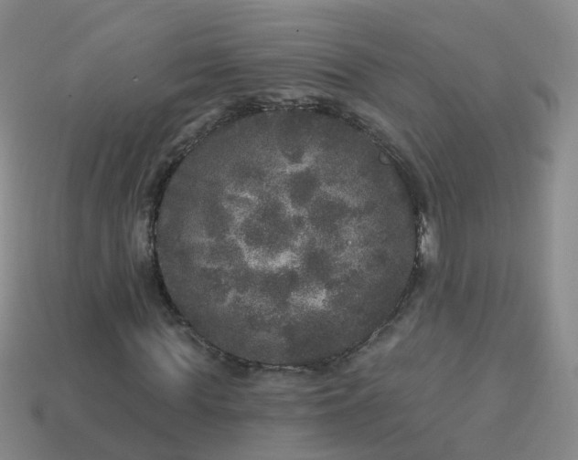 X0000113880819200910081744