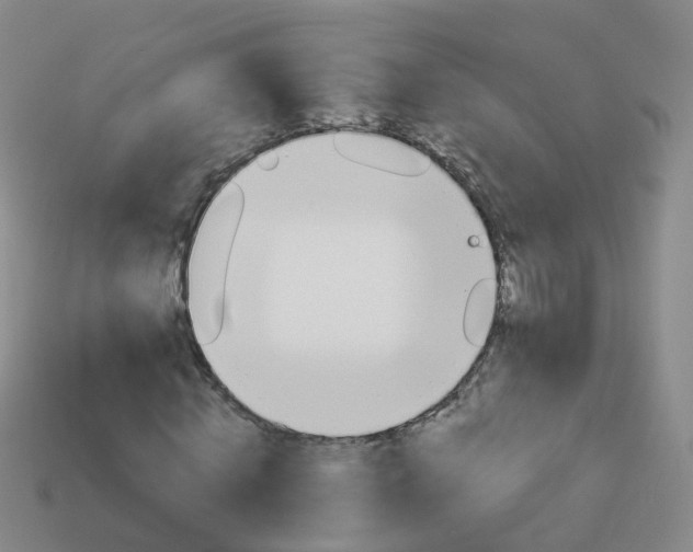 X0000113880820200910081745