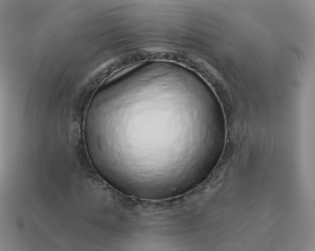 X0000113880821200910081745