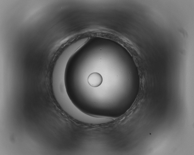 X0000113880822200910081745