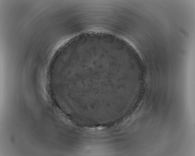 X0000113880823200910081745