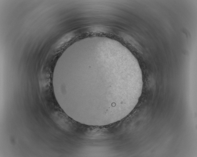 X0000113880824200910081745