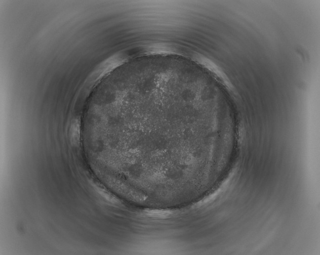 X0000113880825200910081745