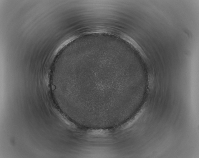 X0000113880826200910081745