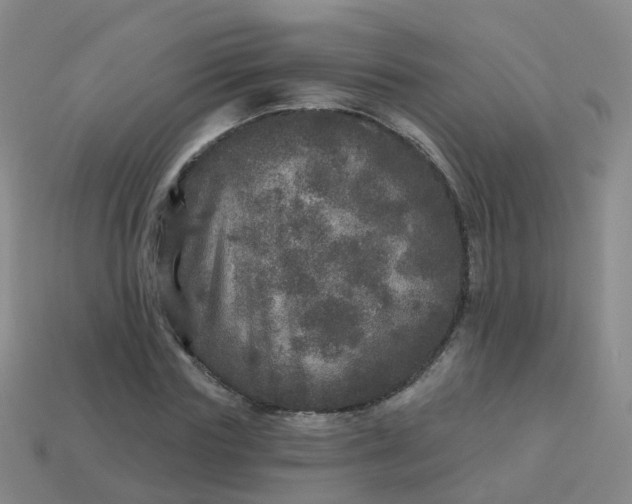 X0000113880827200910081745