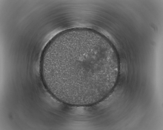 X0000113880828200910081745