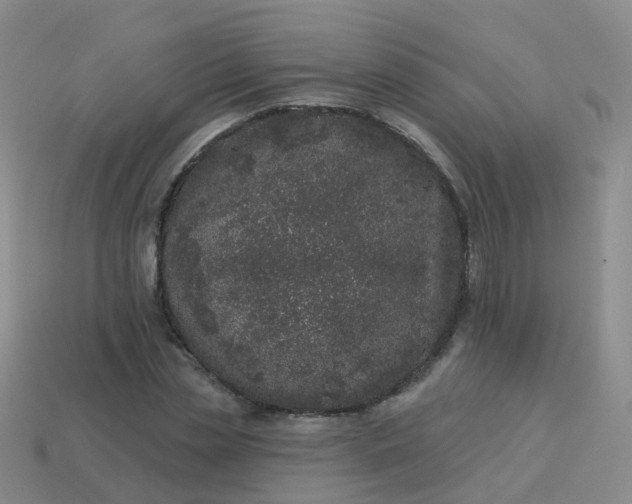 X0000113880829200910081745