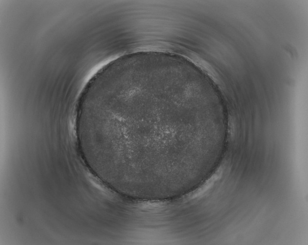 X0000113880830200910081745